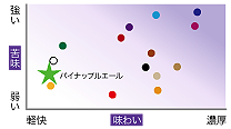 地ビール マトリックス