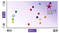 地ビール マトリックス