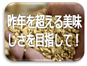 湘南ゴールドビールリニューアル歴