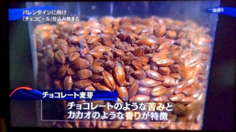 チョコレート麦芽