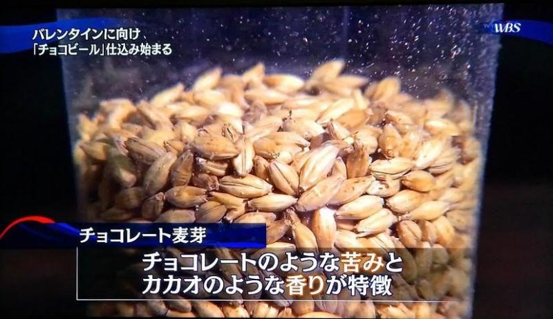 通常の麦芽