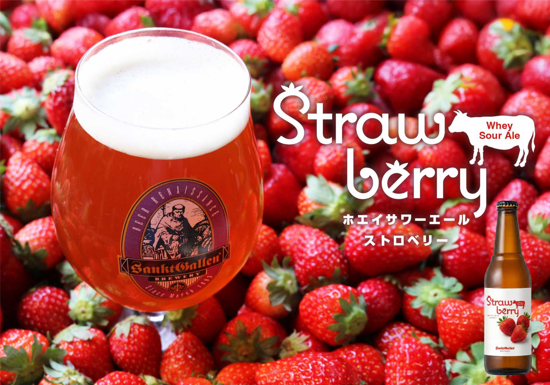 泡まで苺色の甘酸っぱいビール『ホエイサワーエール ストロベリー』3月12日発売。チーズ副産物“ホエイ”をアップサイクル