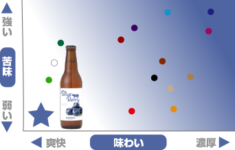 地ビール マトリックス