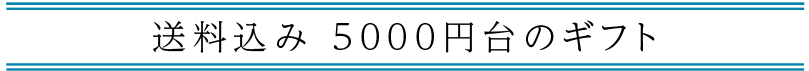 送料込み 4,000〜5,000円台の「父の日ギフト」