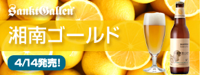 湘南ゴールド