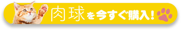 生グソビールを今すぐ購入