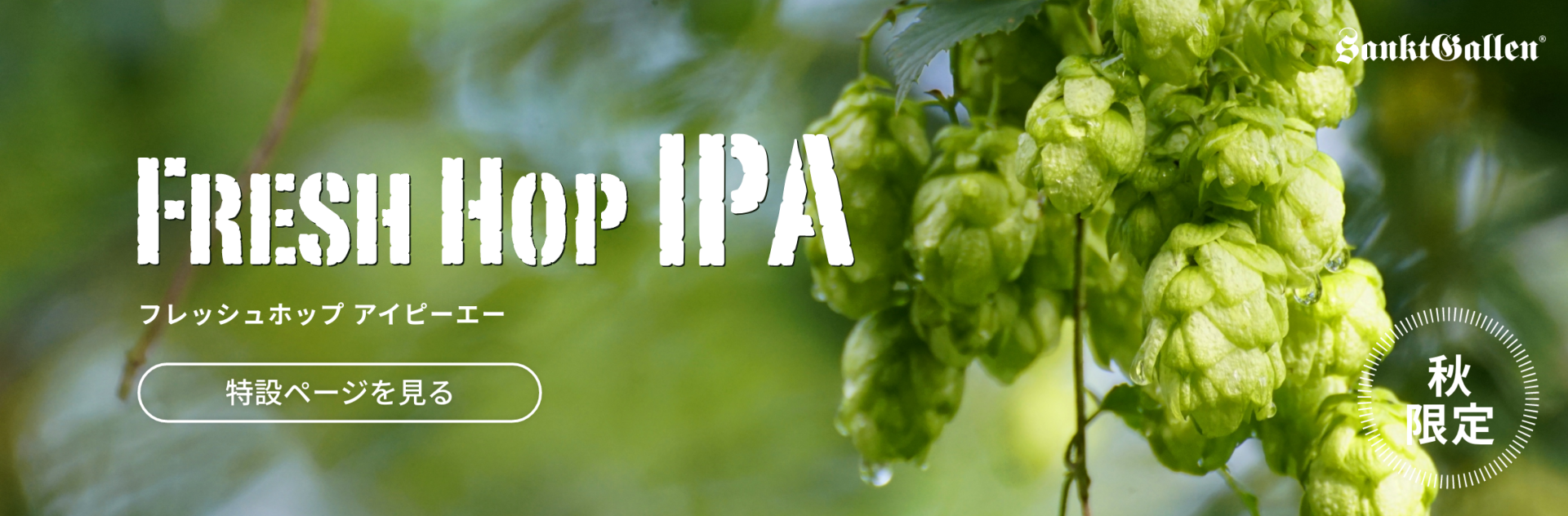 FRESH HOP IPA