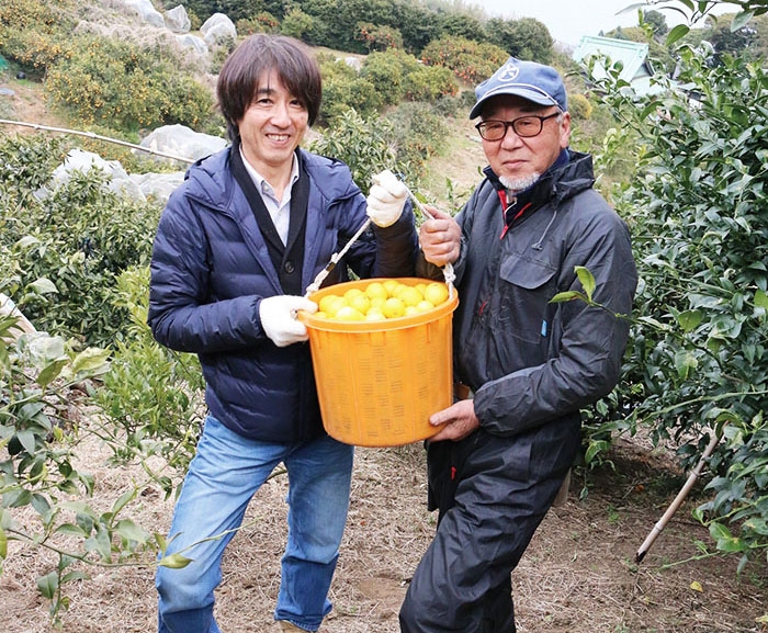 楽天市場】クラフトビール 日向夏Premium 6本ギフト フルーツ