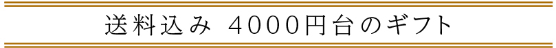 送料込み 4,000〜5,000円の「父の日ギフト」