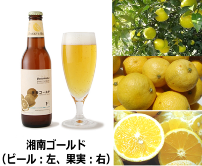 湘南ゴールド果実とビール